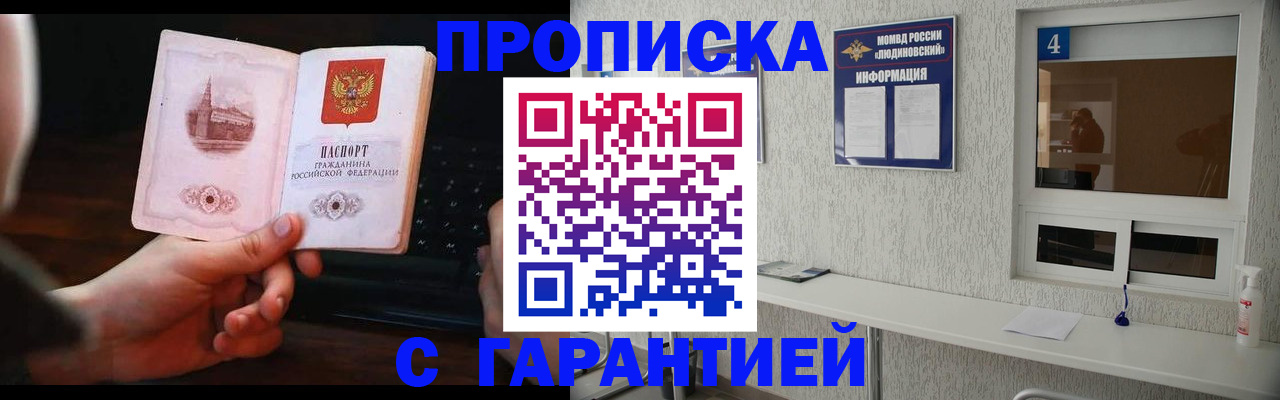 временная регистрация поиск в Курске